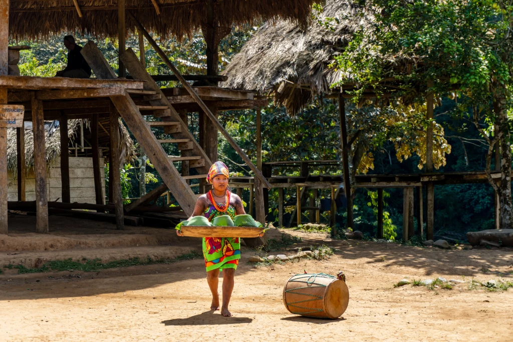 Panama - 2022: Young woman dressed in Paruma cloth brings a tray of food wrapped in banana leaves.